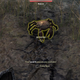 Illustration for article titled It Ain't An Elder Scrolls Game Until I Kill A Mudcrab